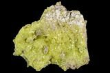 Sulfur Crystal Cluster on Matrix - Nevada #129727-1